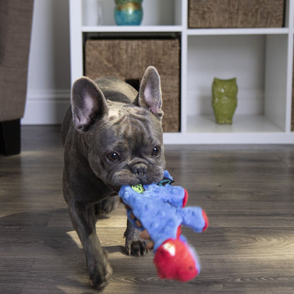 SmartPaw Mystery Box | Free Toys for a Years