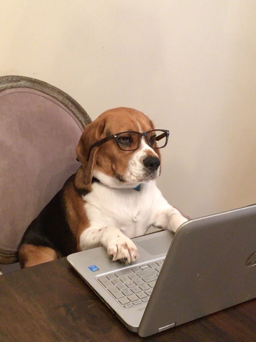 SmartPawIQ