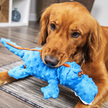 SmartPaw Mystery Box | Free Toys for a Years