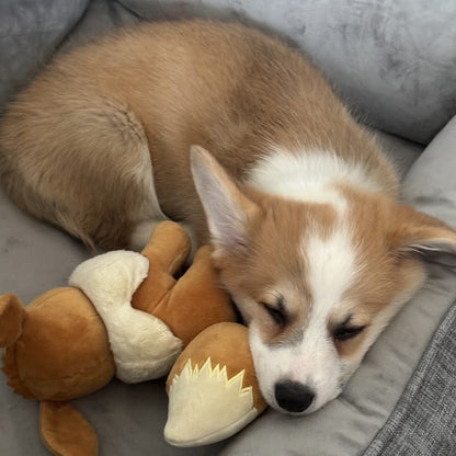 SmartPaw Mystery Box | Free Toys for a Years