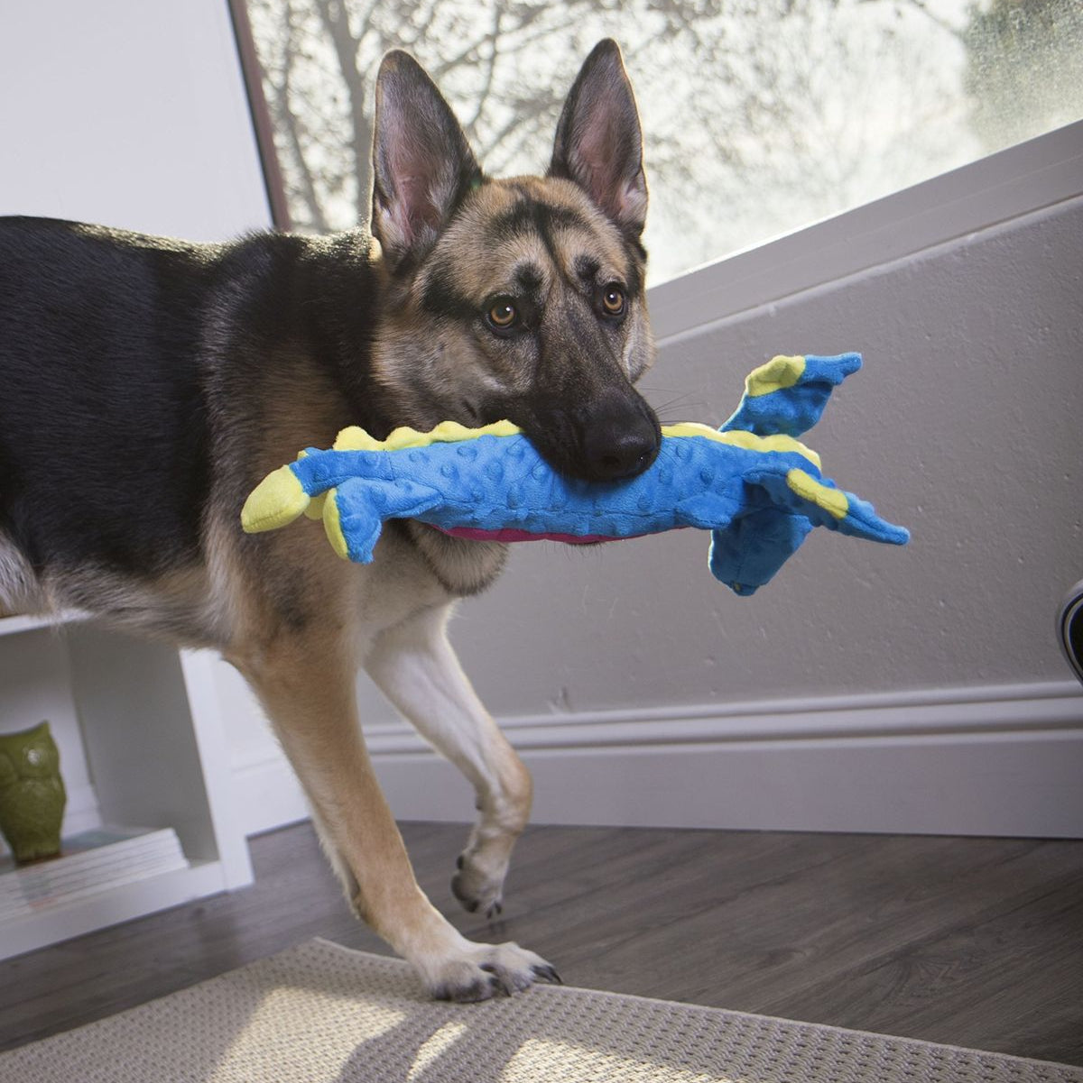 SmartPaw Mystery Box | Free Toys for a Years