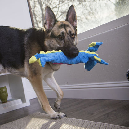 SmartPaw Mystery Box | Free Toys for a Years