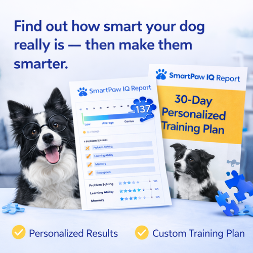 Your Dog IQ Test Result | 30-Day Personalized Training Plan