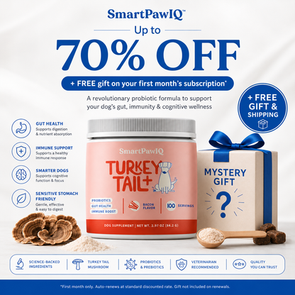 SmartPaw™ Turkey Tail | Probiotic For Gut Health and Smarter Dogs