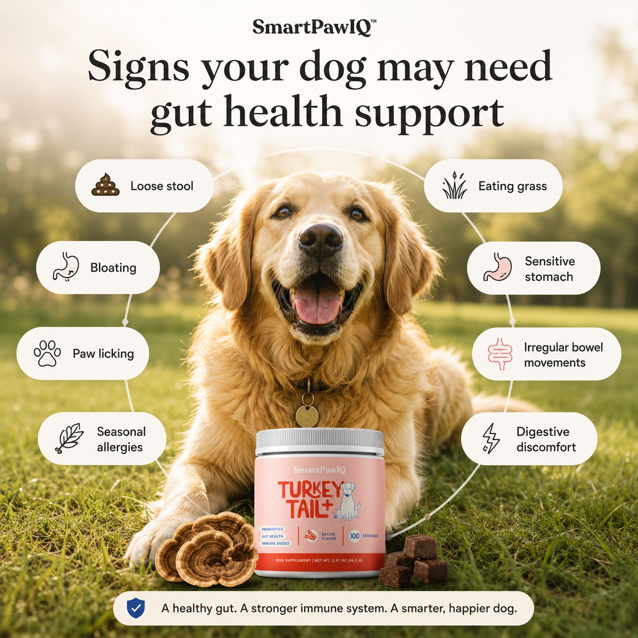 SmartPaw™ Turkey Tail | Probiotic For Gut Health and Smarter Dogs