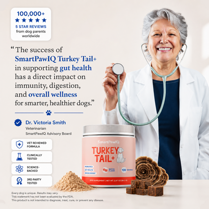 SmartPaw™ Turkey Tail | Probiotic For Gut Health and Smarter Dogs