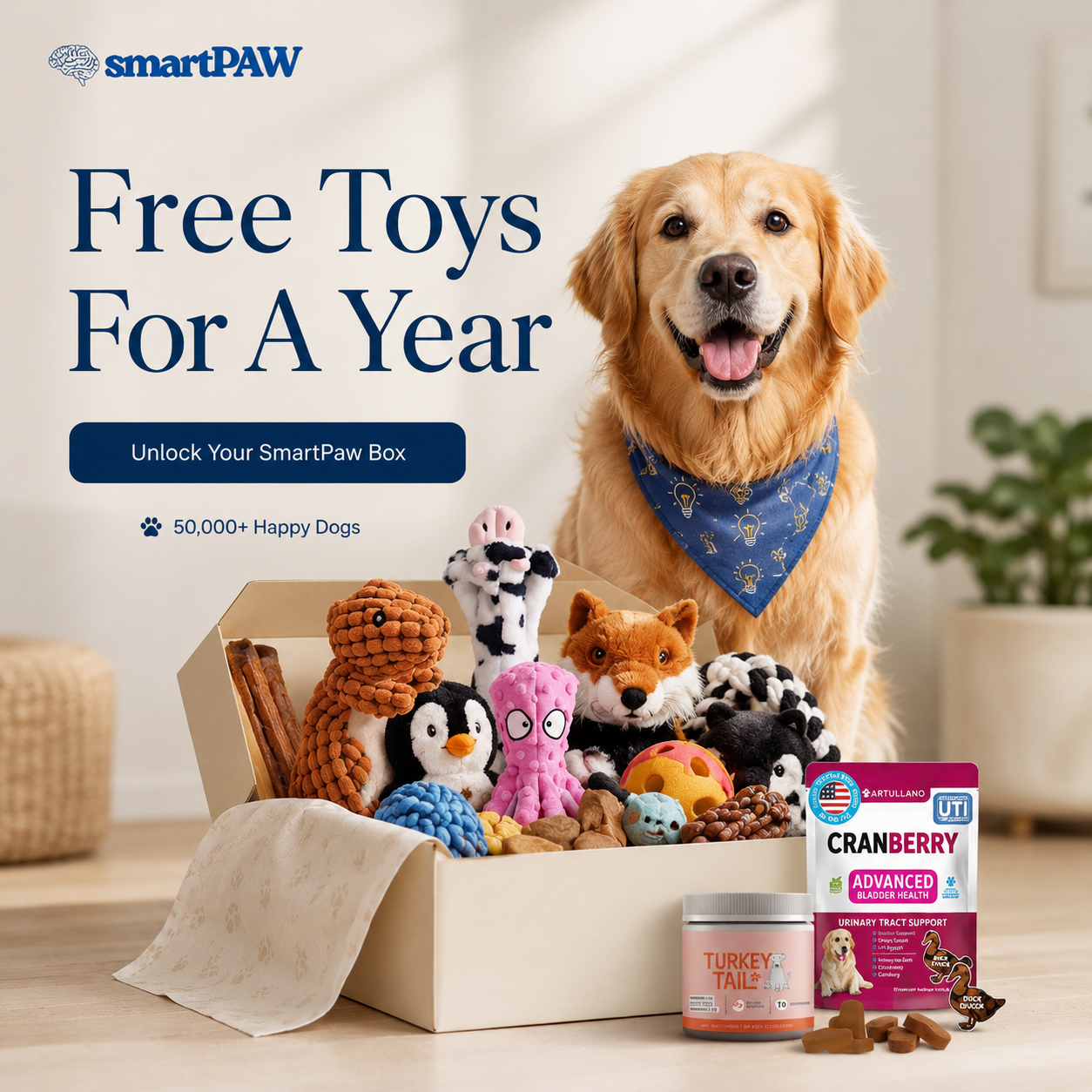 SmartPaw Mystery Box | Free Toys for a Years