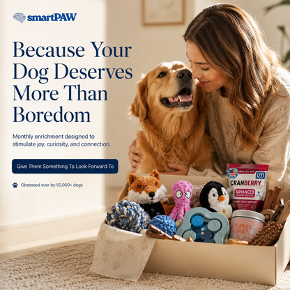 SmartPaw Mystery Box | Free Toys for a Years