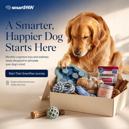 SmartPaw Mystery Box | Free Toys for a Years