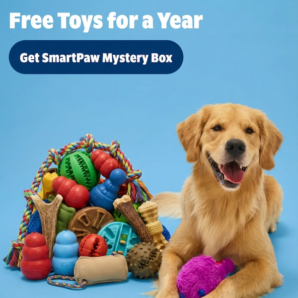 The box that makes your dog <em>smarter every month.</em>