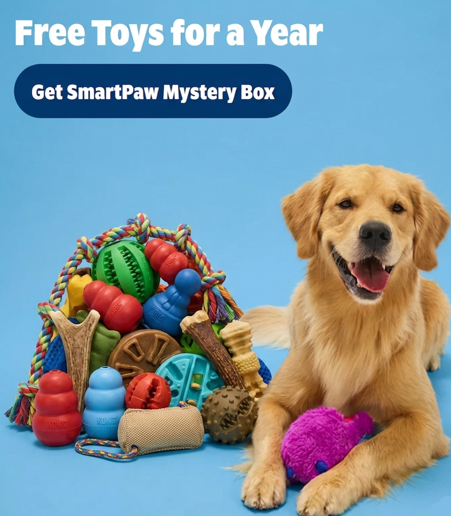 Your Dog IQ Test Result + SmartPaw Mystery Box (this only worth 59.99$)