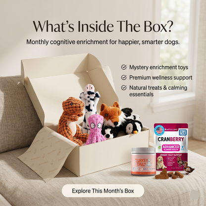 SmartPaw Mystery Box | Free Toys for a Years