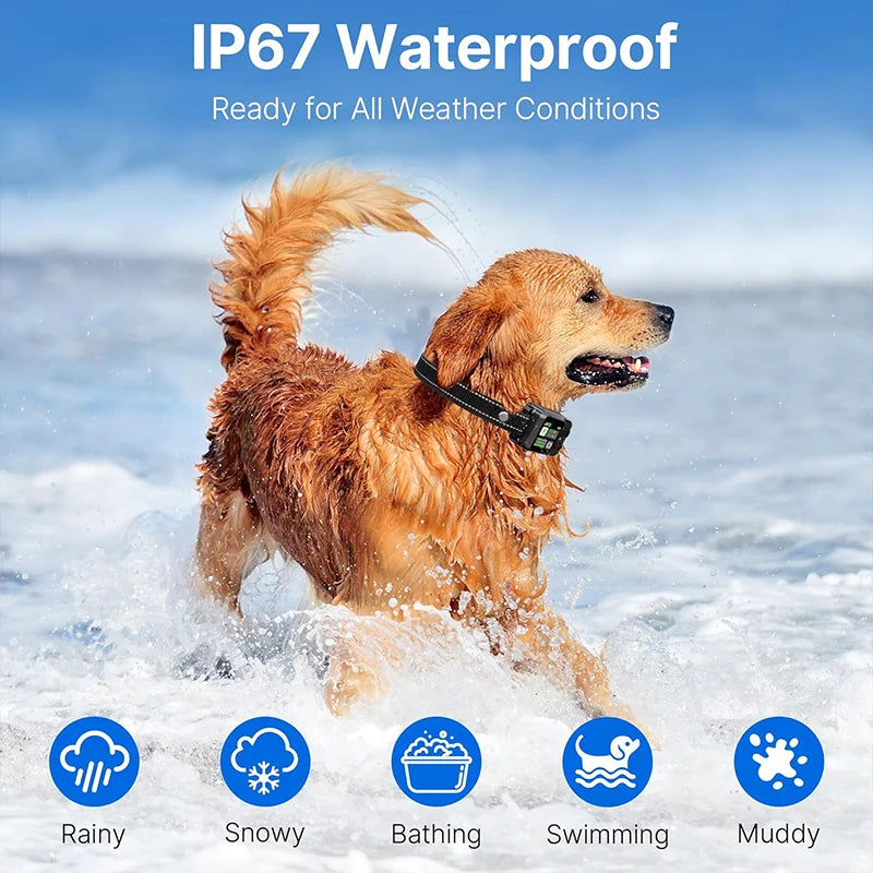SmartPaw™ TrackSafe | Wireless Containment System
