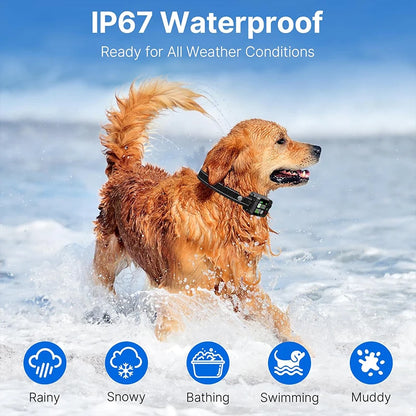 SmartPaw™ TrackSafe | Wireless Containment System