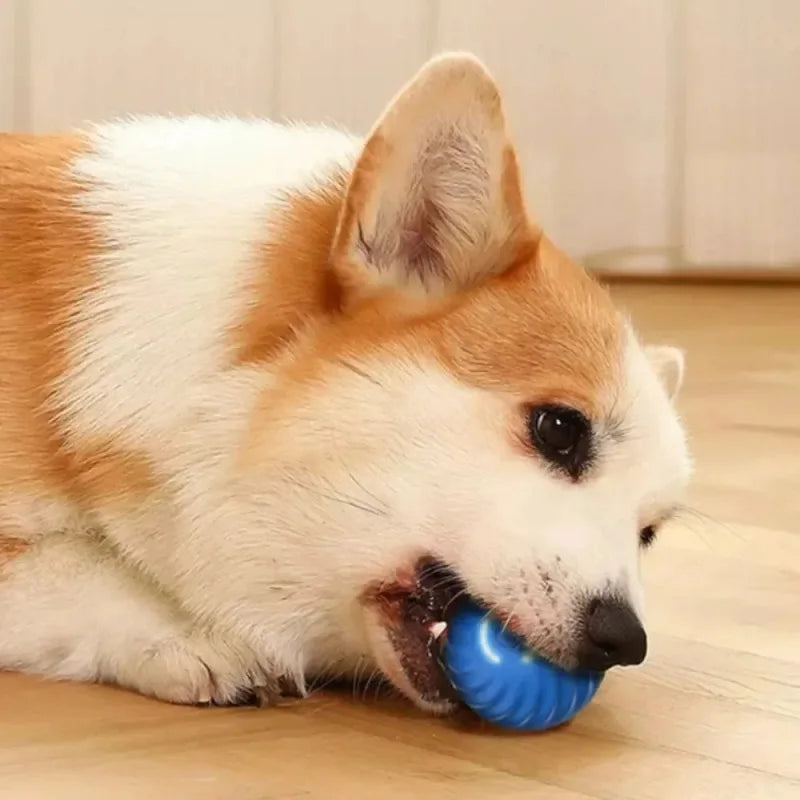 SmartPaw MotionIQ™ Pro 2.0 | Interactive Ball Toys for Dogs