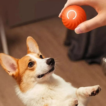 SmartPaw MotionIQ™ Pro 2.0 | Interactive Ball Toys for Dogs