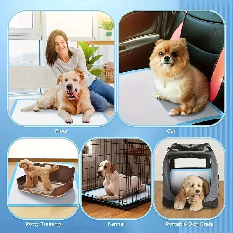 SmartPaw™ LeakGuard Pads | Ultra Absorbent Training Pads