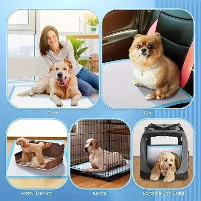 SmartPaw™ LeakGuard Pads | Ultra Absorbent Training Pads