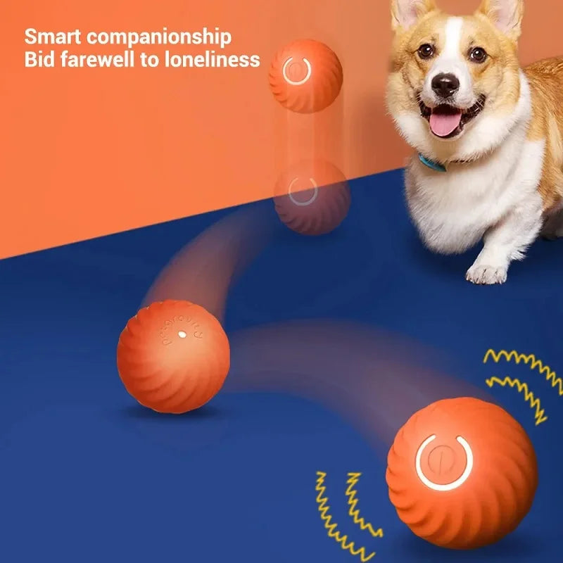 SmartPaw MotionIQ™ Pro 2.0 | Interactive Ball Toys for Dogs