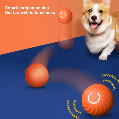 SmartPaw MotionIQ™ Pro 2.0 | Interactive Ball Toys for Dogs