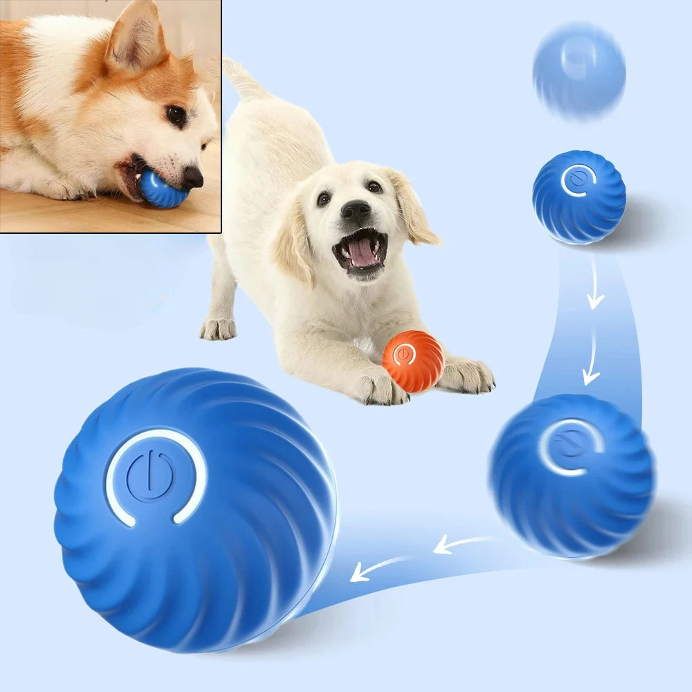 SmartPaw MotionIQ™ Pro 2.0 | Interactive Ball Toys for Dogs